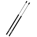 Vepagoo Honda Passport 1994-2002, Isuzu Amigo 1999-2000 Isuzu Rodeo 1991-2004 Gas Charged Rear Glass Window Lift Support Shock Strut (Set of 2)
