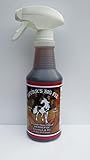 Spurr's Big Fix 16 Oz Spray