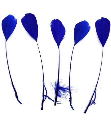 5 Royal Blue Stripped Coque Style Feathers - Fascinators, weddings - 6 inches approx by GC