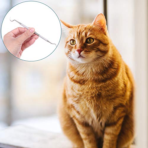 Xgood 4 Pieces Dog Tooth Scaler Tools Set Pet Dental Tooth Scaler and Scraper Stainless Double Headed Pet Teeth Cleaning Tools Tartar Remover Sets with Black Bags for Pet Dogs Cats (A)
