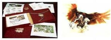 Bev Doolittle - Rushing War Eagle WSS From Where Silence Speaks Set 1986