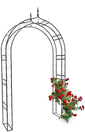 Relaxdays Arco de Metal Punta para Rosas 10020028-Arco, Negro ...