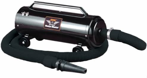 introducing rescue dog to new home