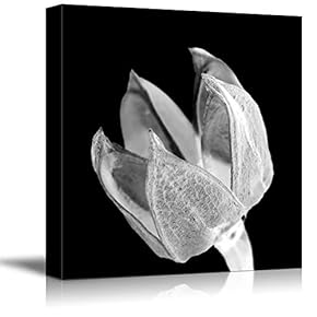 Wall26-Canvas Wall Art-Black Background Flower Theme for Living Room-Giclee Painting Wall Bedroom Living House Decoration Home Art - 12x12 inches
