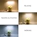 Flexible LED Gooseneck Desk Lamp Dimmable Clip Light 8W Clip On Lamp Reading Light in Bed 3 Lighting Modes 10-Level dimmer USB Clamp Light(Silver)