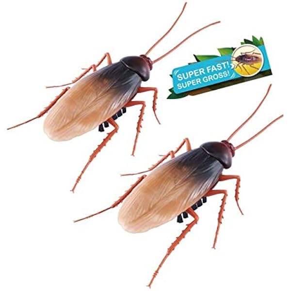 cockroach toy