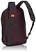 Victorinox Luggage Outrider Backpack