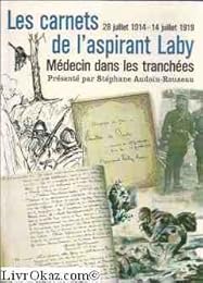 Le  regard de l'éleveur de rennes, Laponie norvégienne