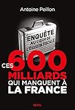 Ces 600 milliards qui manquent à la France : Enquête au coeur de l'évasion fiscale by 