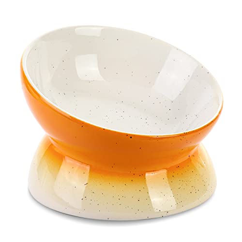 Elevated Cat Bowls Whisker Fatigue,Tilted Raised Cat Food Bowls