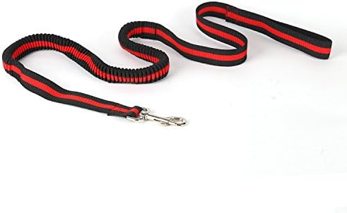 Funny Way Dogs Bungee Basic Leash Nylon Flexible Elastic Lead Ropes