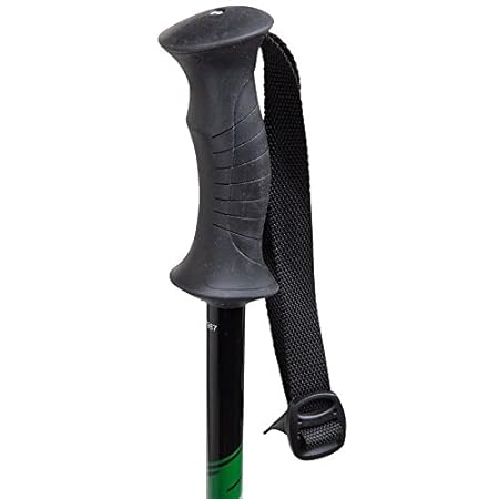 arpenaz 200 hiking pole