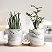 SQOWL 4 inch Marble Ceramic Succulent Planter Pot Indoor Modern Cactus Herb Flower Planters with Bamboo Tray Set of 3