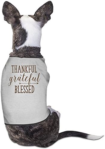 Theming Thankful Grateful Blessed Dog Vest