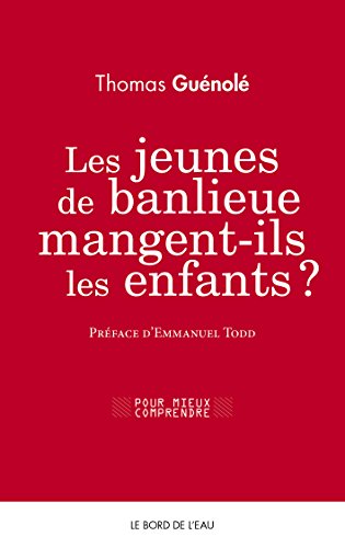 Les  jeunes de banlieue mangent-ils les enfants ?