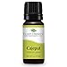 Plant Therapy Cajeput Essential Oil. 100% Pure, Undiluted, Therapeutic Grade. 10 ml (1/3 oz).