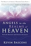 Angels in the Realms of Heaven: The Reality of Angelic Ministry Today (Dancing with Angels) by Kevin Basconi
