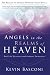 Angels in the Realms of Heaven: The Reality of Angelic Ministry Today (Dancing with Angels) by Kevin Basconi
