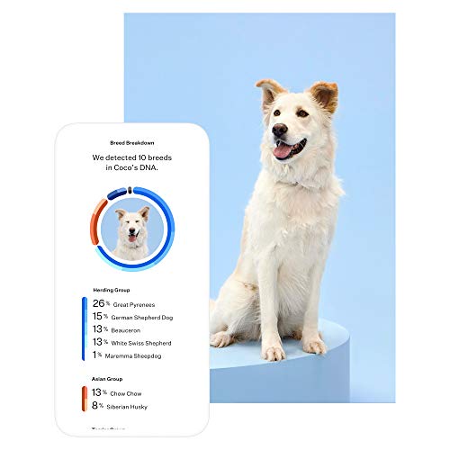 Wisdom Panel Premium, New and Improved Dog DNA Test for Comprehensive