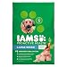 IAMS PROACTIVE HEALTH Large Breed Premium Adult Dry Dog Food (1) 30 Pound Bag