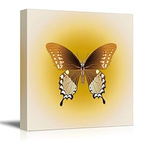 Colorful Butterfly Pictures Home Wall for Bedroom Living...