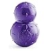 Planet Dog Double Tuff Large Purple