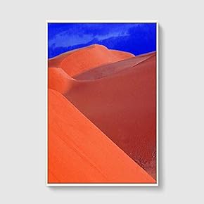 SIGNFORD Framed Canvas Home Artwork Decoration Desert Canvas...