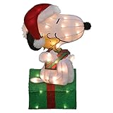 Christmas Peanuts Snoopy and Woodstock Pre - Lit Yard Art 24