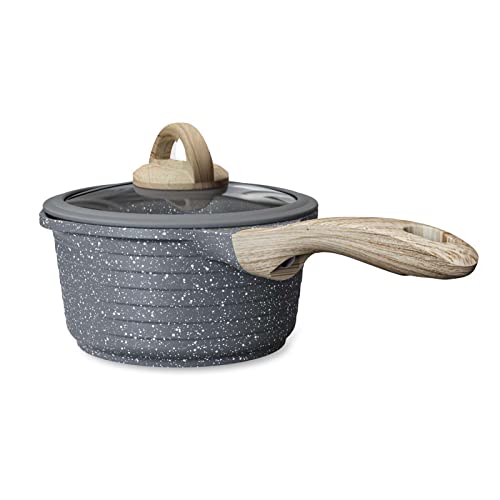 JEETEE 2 Quart Sauce Pan with Lid, Non Stick Small Pot with German