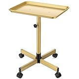 FLOLXNB Salon Tray Cart Premium Aluminum Tattoo