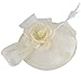 Aniwon Cocktail Pillbox Hat Fascinator Hair Clip Bridal Headwear for Women