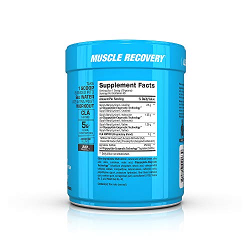 BPI Sports Best BCAA BCAA Powder Branched Chain Amino Acids
