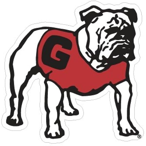 uga bumper sticker