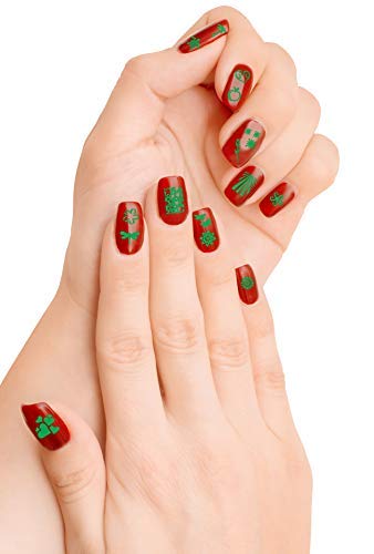 Nail Art Stamp Stamping Templates, Stamper Scraper Kit, 5 Manicure Plates Stamping Set with 1 Polish Stamper
