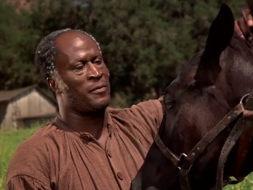 Watch Roots The Complete Miniseries Prime Video