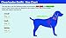 Pets First Dallas Cowboys NFL Cheerleader Dress For Dogs - Size X-Small