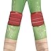 Amscan Teenage Mutant Ninja Turtles Leonardo Muscle Halloween Costume for Boys, Small, with Included Accessories