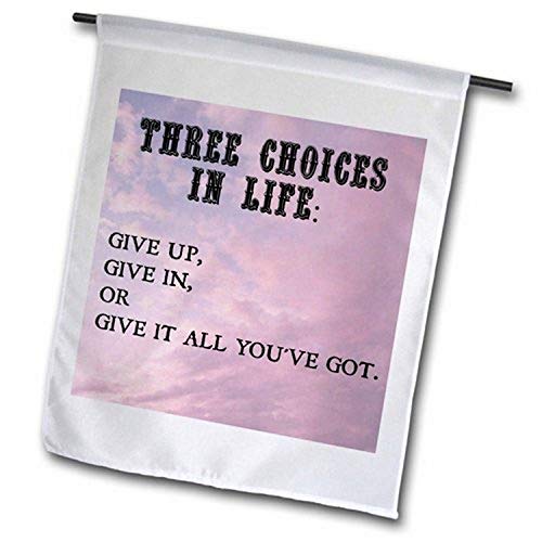 3dRose fl_200695_1 Three Choices in Life Give Up Give in or Give it All You Got…