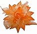 WD2U Dotted Flower Lily Alligator Hair Bow Clip & Brooch with Feather Accents