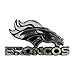 FANMATS 60267 NFL - Denver Broncos Molded Chrome Emblem | Chrome | 3.25” x 3.25 | Bronco Head Primary Logo & Wordmark