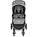 RECARO Performance Denali Luxury Stroller, Granite