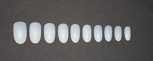 600 Pieces Oval Nails 10 Sizes – Short/Medium Natural Opaque Nails, suitable for salon use & DIY Nail Art ♥ FREE GLUE ♥ & ♥ SMALL PREP FILE ♥