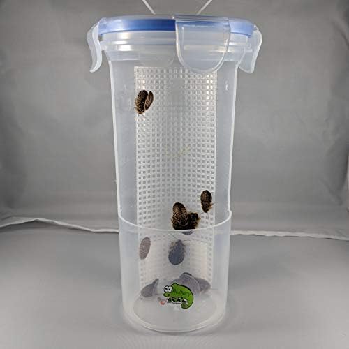 Amazon Com Blinky Chameleon Bar Hanging Food Dish For Reptiles