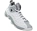 Nike Jordan Men's Jordan Jumpman Team II Basketball Shoe