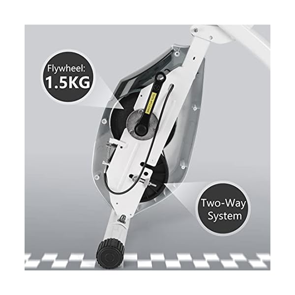 Ultrasport F-Bike, Folding Exercise Bike with Training Computer, Adjustable Resistance Levels and Hand Pulse Sensors…