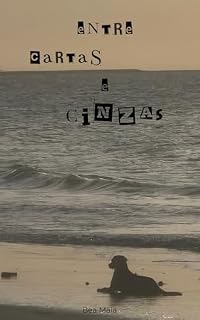 Livro Entre cartas e cinzas