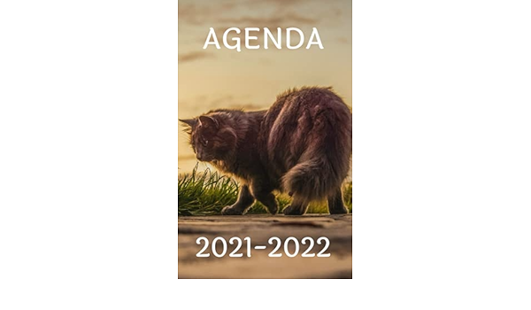 Amazon Com Agenda Chat 21 22 Chaton Felin Mignon Planificateur Journalier Et Semainier Septembre 21 A Septembre 22 Format Ideal Pour Emmener En Cours French Edition Genda Lisa Libros