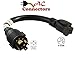 AC WORKS 1FT 10AWG L14-30P 30A 125/250V Locking Plug to 6-15/20R T Blade 15/20A 250Volt Connector L1430620-012 -Limited Five year warranty