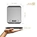 Classic 11lb/5kg Digital Multifunction Stainless Steel Kitchen Food Scale by Wasserstein