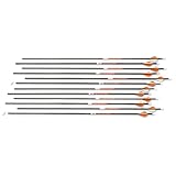 Victory Trophy Hunter 350 Arrows, Pack of 12